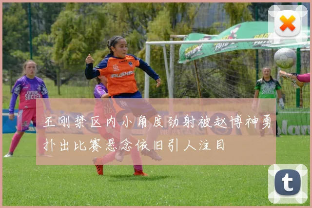 王刚禁区内小角度劲射被赵博神勇扑出比赛悬念依旧引人注目