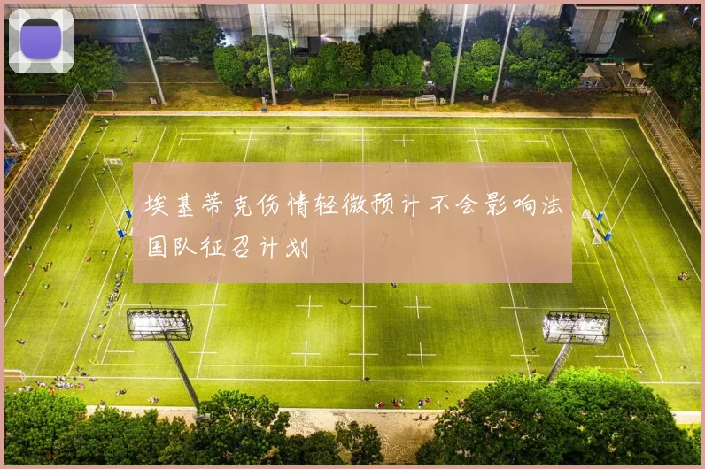 埃基蒂克伤情轻微预计不会影响法国队征召计划